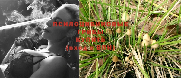 СК Нягань