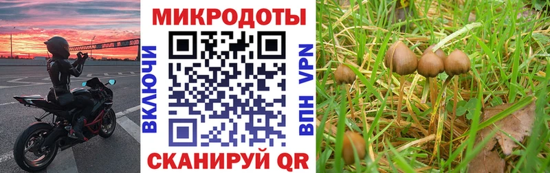 Псилоцибиновые грибы Magic Shrooms Струнино