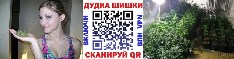 Каннабис индика  Струнино 